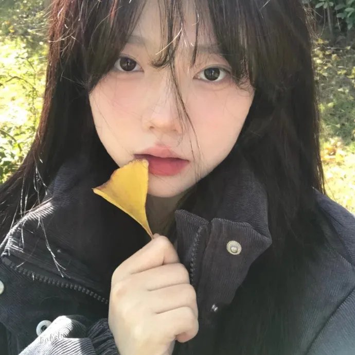 所罗门的伪证前篇：事件